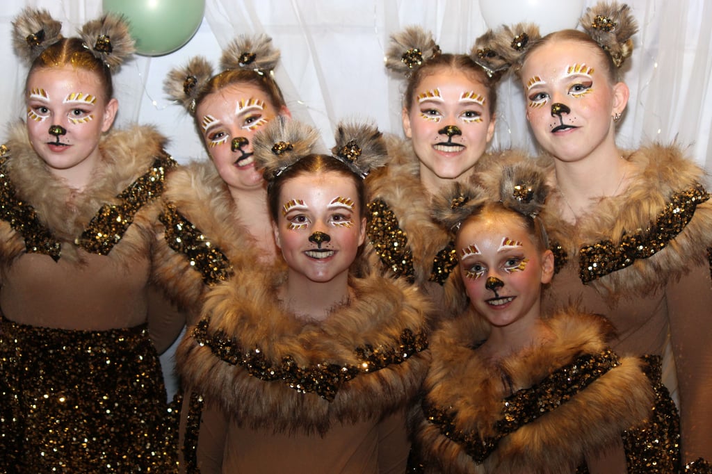 Narrenzunft-Aasee begeistert im Engelsaal
