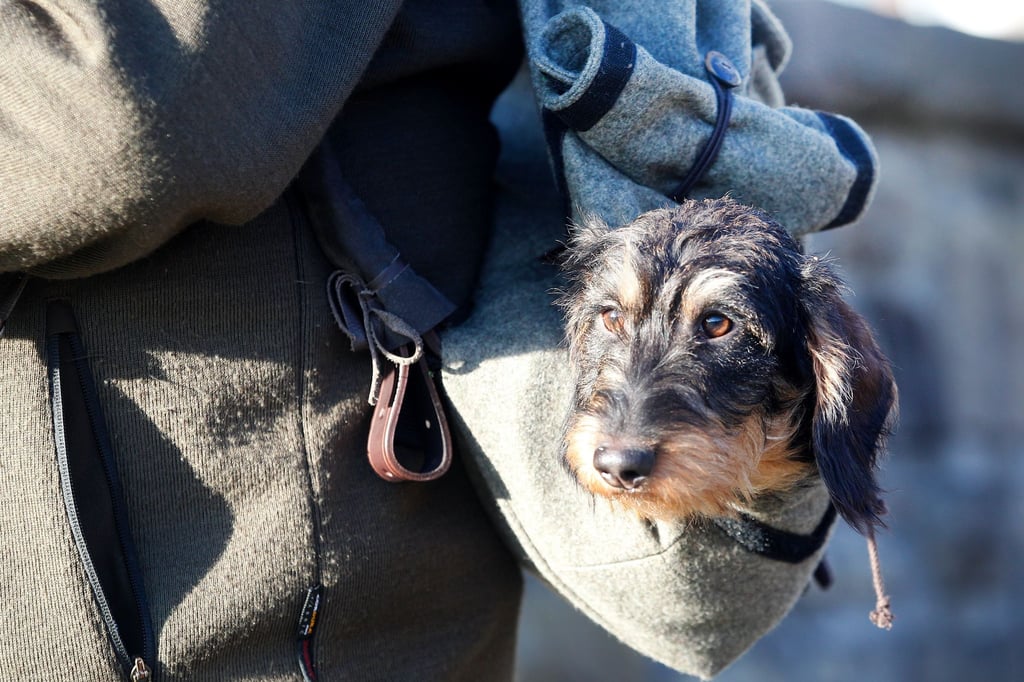 Jagdmesse-lockt-mit-Hirschrufern-J-gerwissen-und-Neuheiten