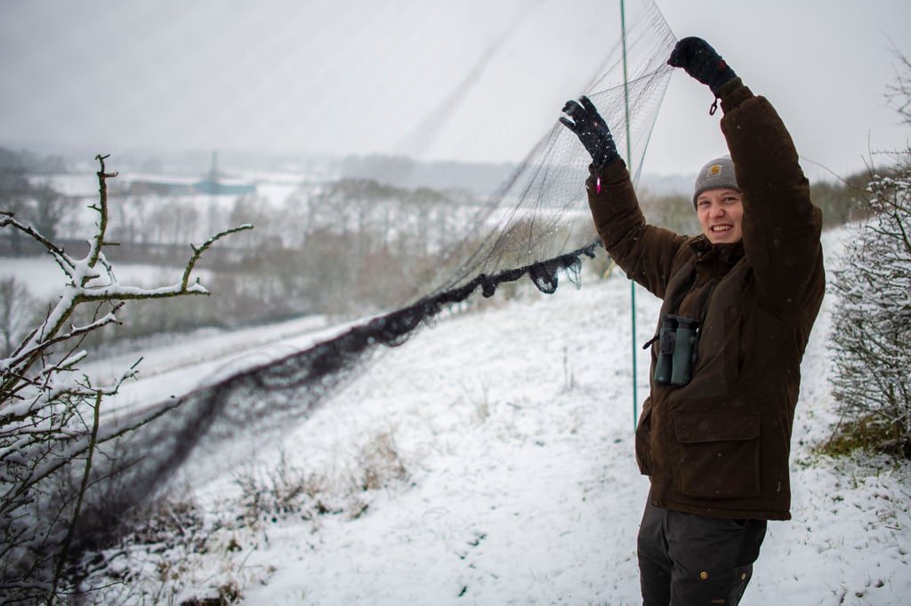 Warum-ein-26-J-hriger-auf-M-nsters-M-llberg-V-gel-f-ngt