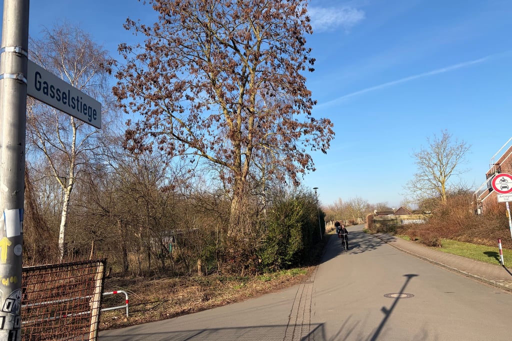 Mehr Sicherheit für die Gasselstiege in Münster