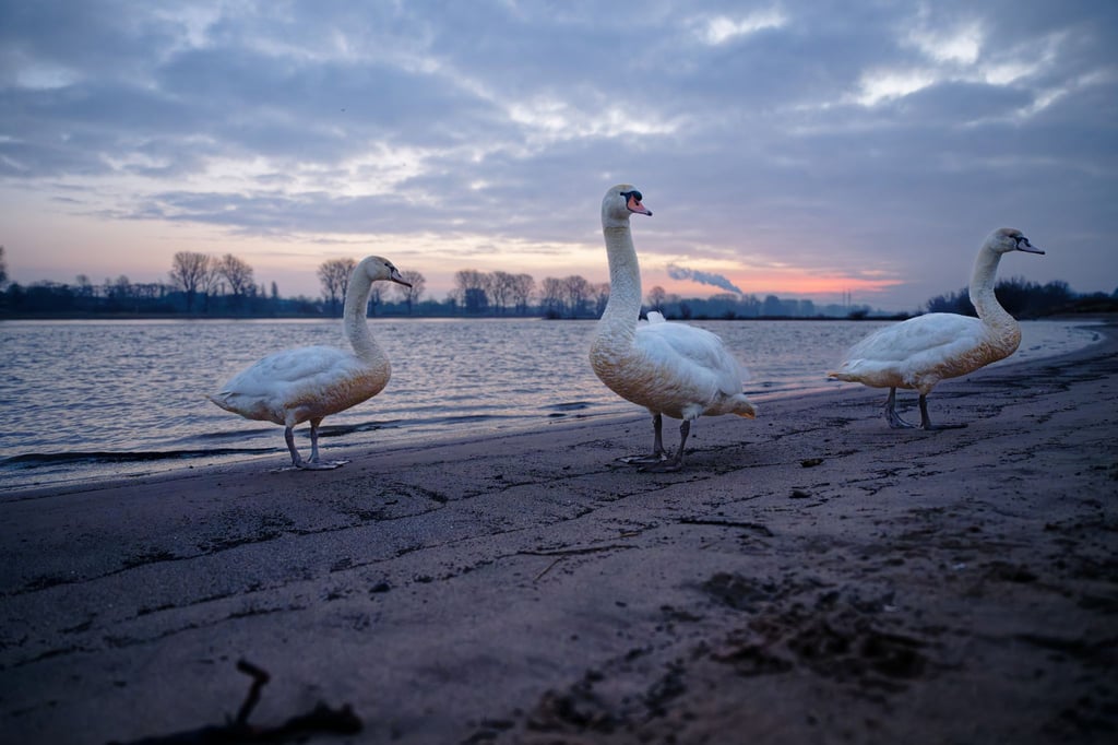 Glatte-Stra-en-zum-Wochenstart-in-NRW