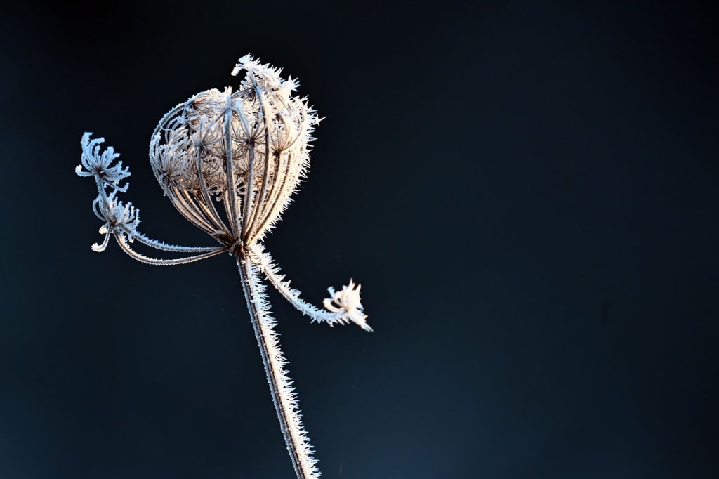 Wetterdienst-warnt-vor-Gl-tte-in-NRW