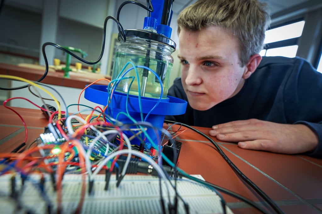 Algen, Akkus und ein intelligenter Schleimpilz