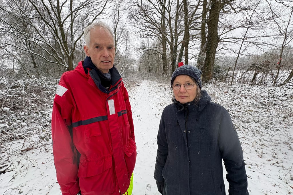 Neubaugebiet Maikottenweg: 218 Bäume sollen weichen – Widerstand formiert sich