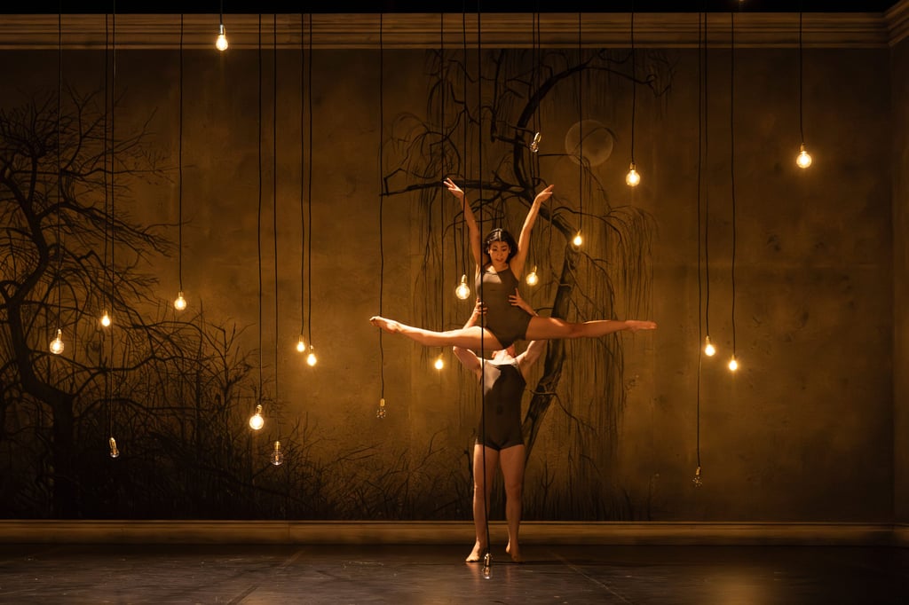 Theater-M-nster-Schwanensee-radikal-neu-getanzt