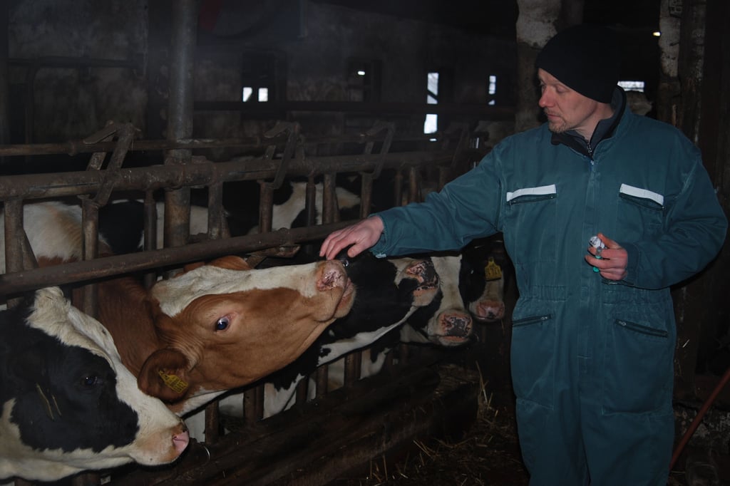Zwischen Stall und Schlachthof: Aus dem Leben eines Landtierarztes