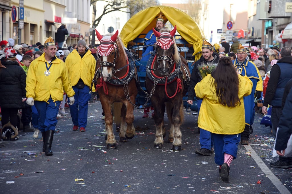 Pferde-beim-Rosenmontagszug-in-K-ln-Ein-Pro-Contra