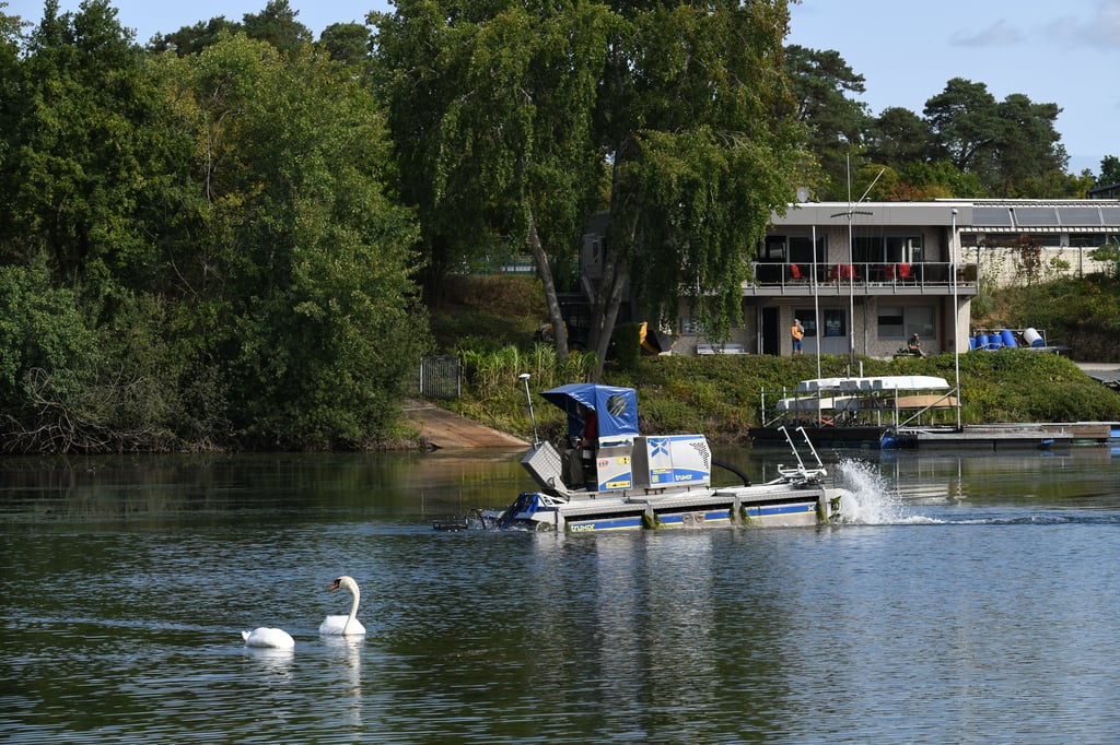 Segler wollen der Stadt behilflich sein