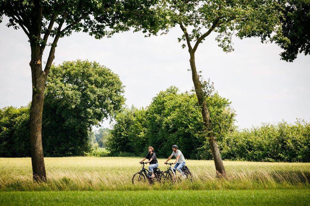 Münsterland hatte 2025 so viel Gäste wie noch nie