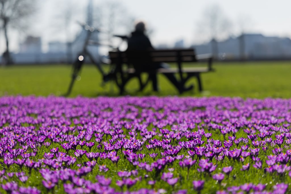 Wetter im Münsterland: Februar könnte Rekordmarke knacken