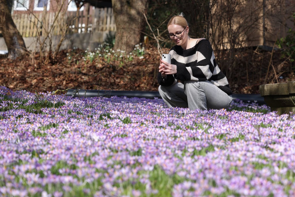 Frühling im Februar: Temperatur-Rekord im Münsterland geknackt