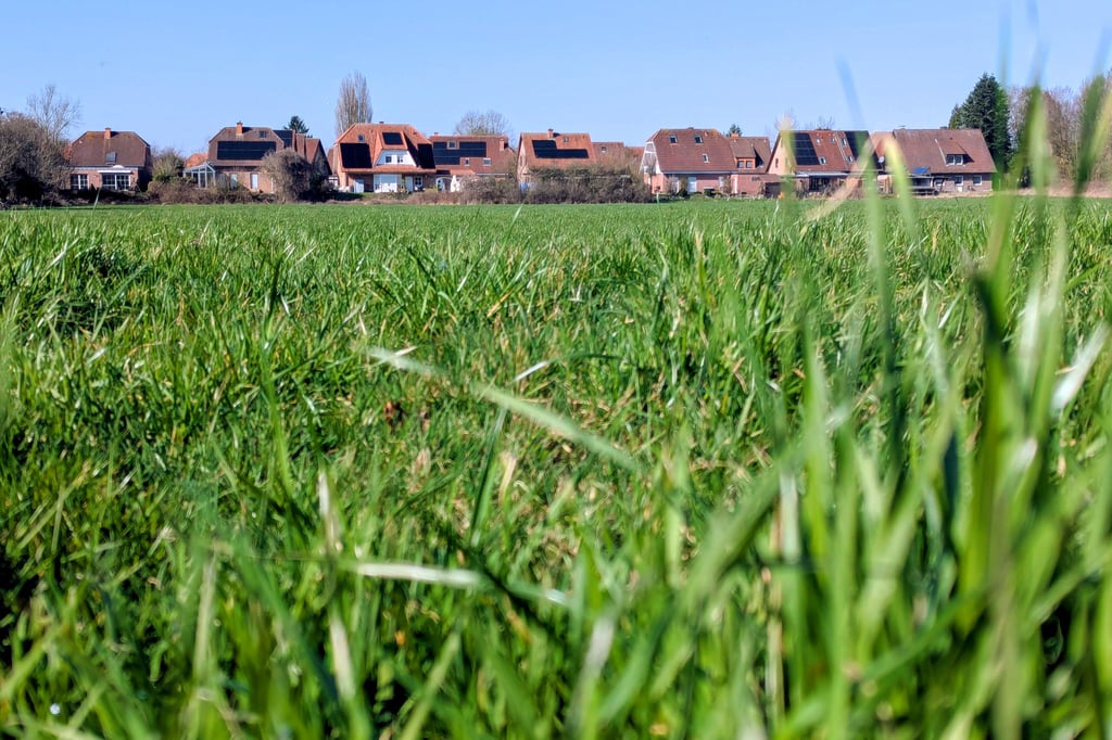 Baugebiet am Berdel: Wann es weitergeht – und was die Nachbarschaft bewegt