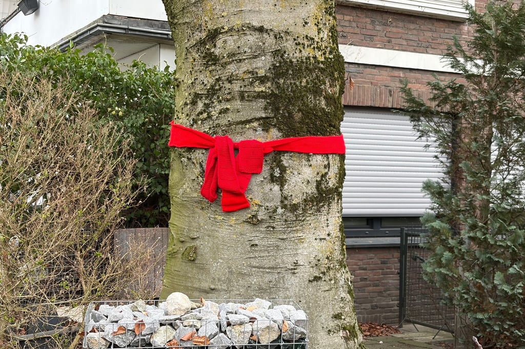 Widerstand gegen geplante Baumfällung am Rostockweg wächst